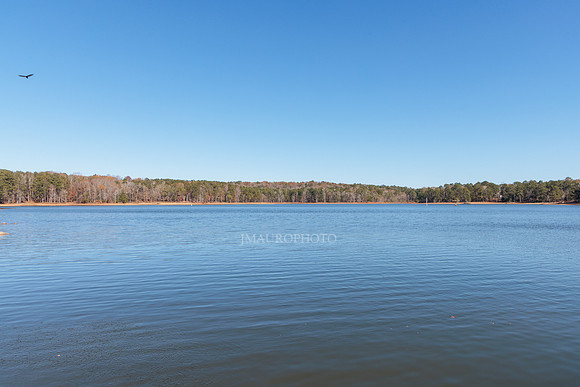 Payne Park-3