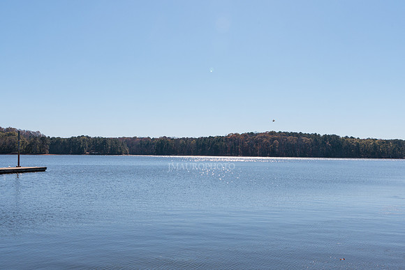 Payne Park-4