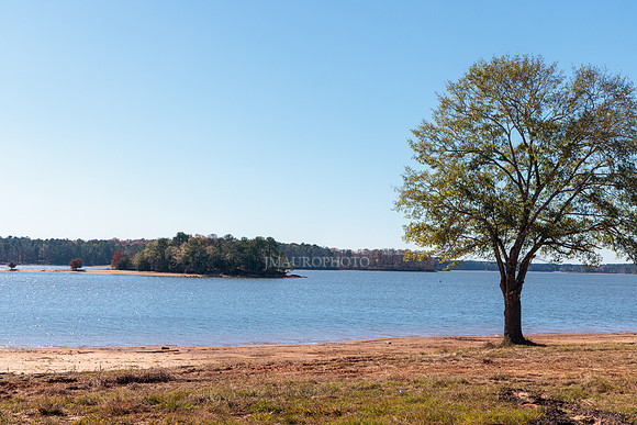 Payne Park-7