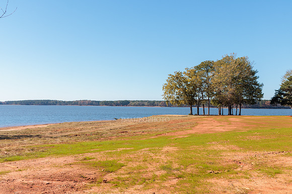 Payne Park-8