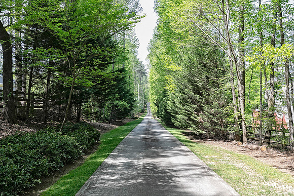 Driveway-2