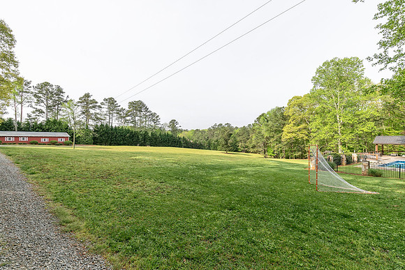 Back Yard-5