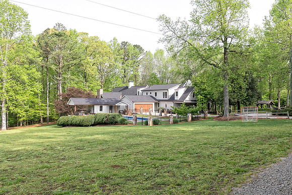Back Yard-6