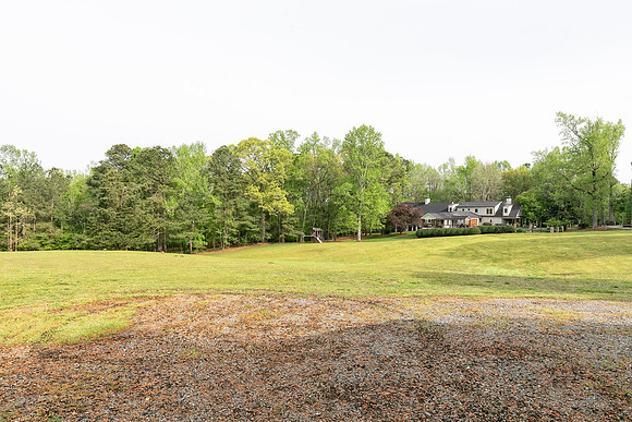 Back Yard-7