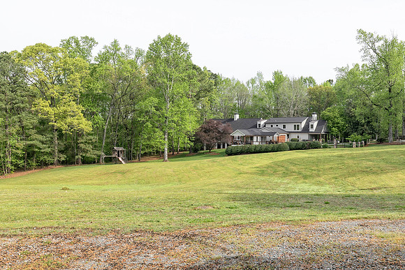 Back Yard-8