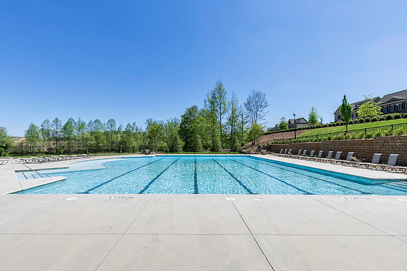 Swimming Pool-3