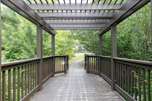 Path-1