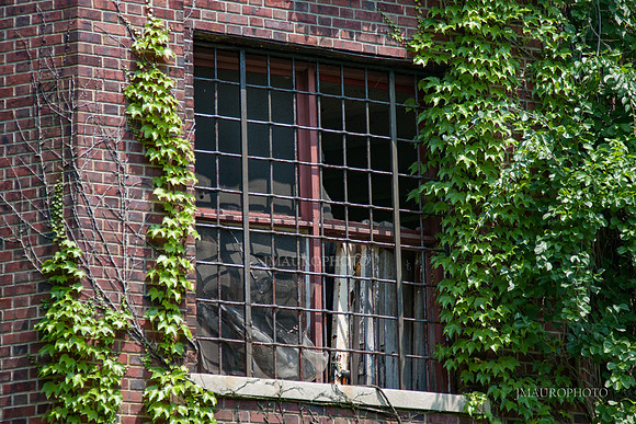 Pilgrim State_50
