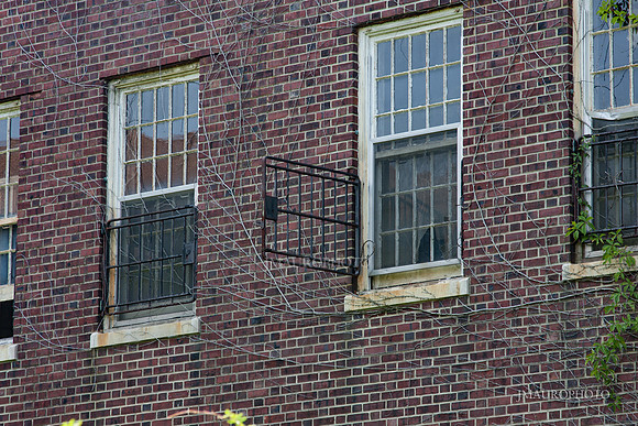 Pilgrim State_24