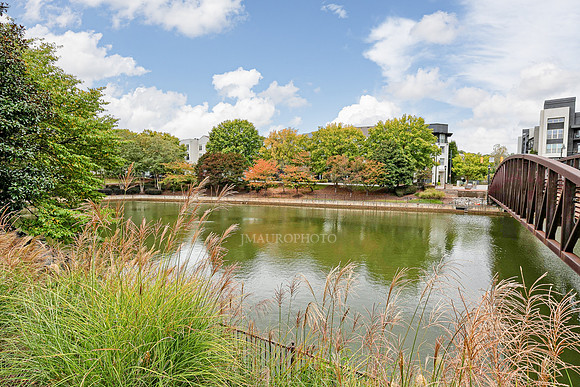 Pond-1