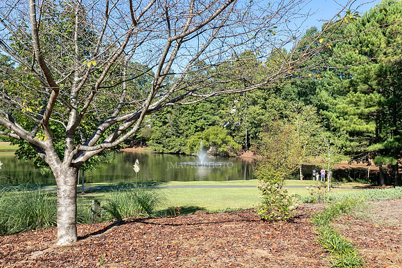 Recreation Area-3