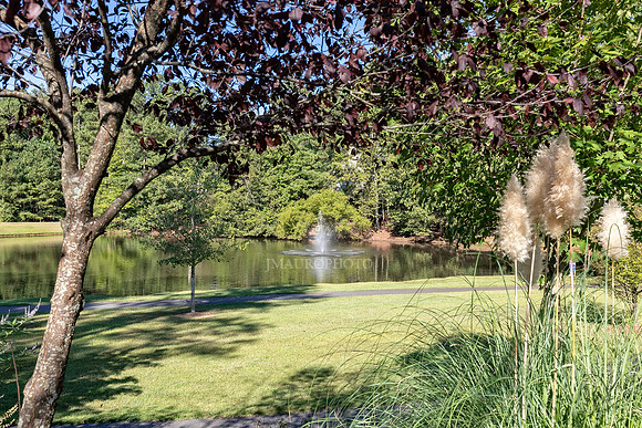 Recreation Area-4