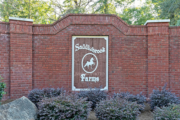 Entrance Monument-1
