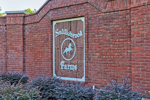 Entrance Monument-2
