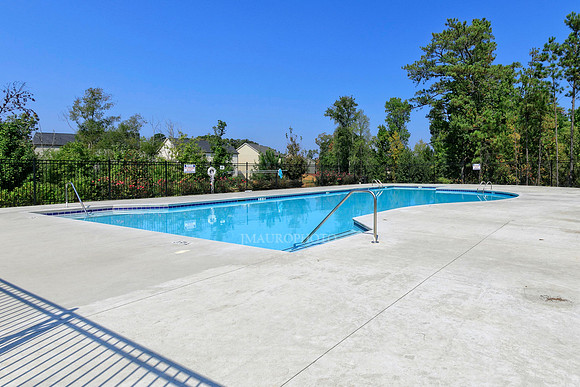 Swimming Pool-1