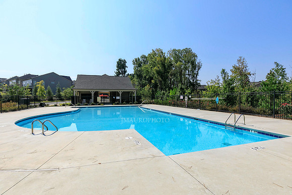 Swimming Pool-3