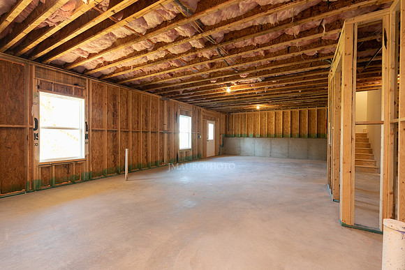 Basement-1