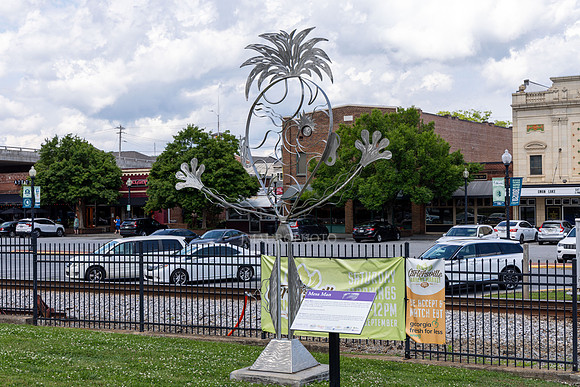 Cartersville-39