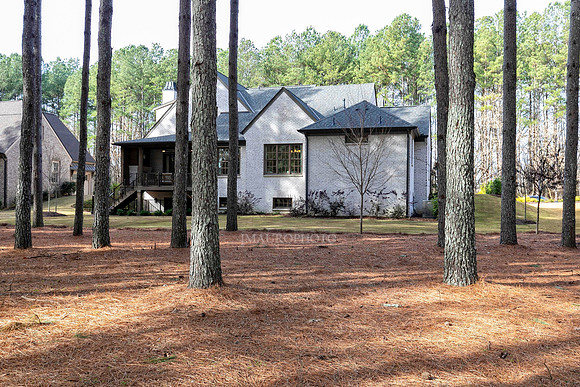 Back Yard-3