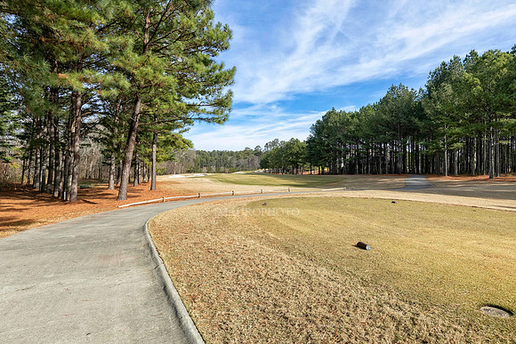 Fairway-1