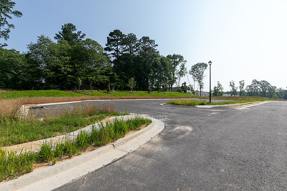 Carlton Crossing-7