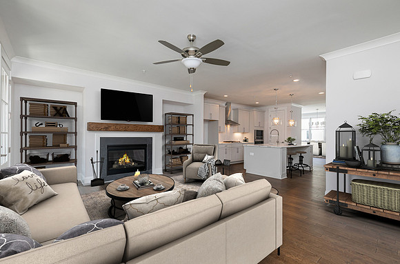 Family Room-3-staged