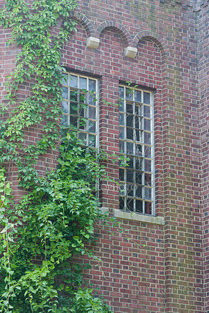 Pilgrim State_10