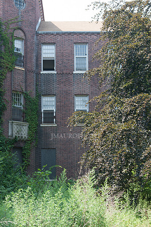 Pilgrim State_12