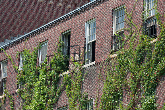 Pilgrim State_17