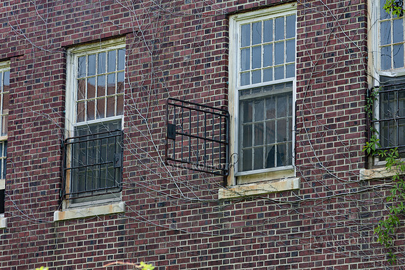 Pilgrim State_24