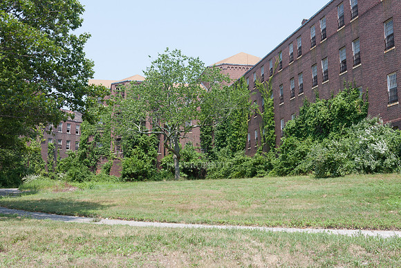 Pilgrim State_36