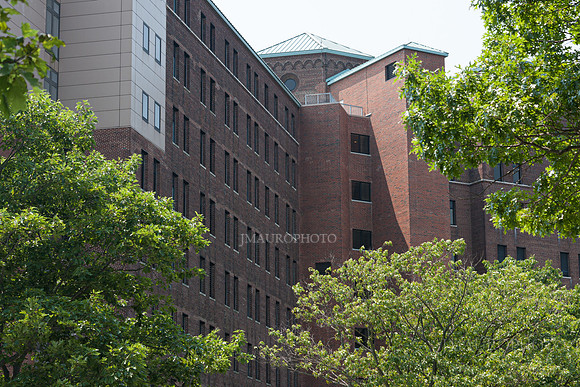 Pilgrim State_37
