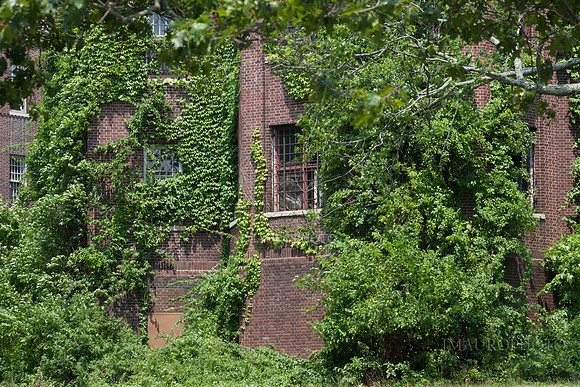 Pilgrim State_39