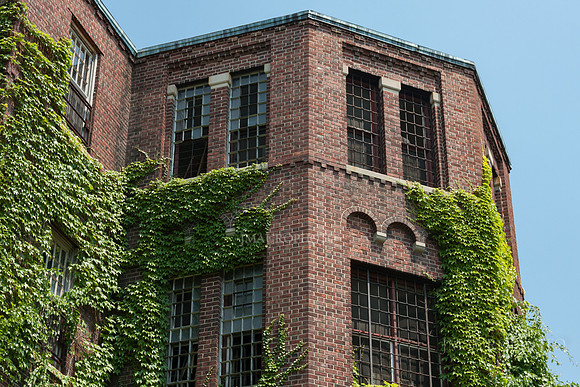 Pilgrim State_41