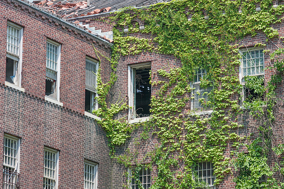 Pilgrim State_46