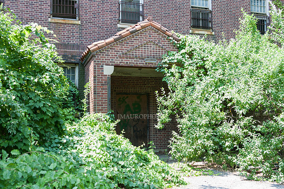 Pilgrim State_48