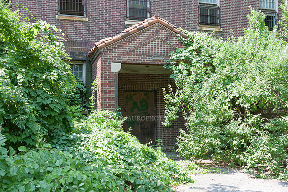 Pilgrim State_49