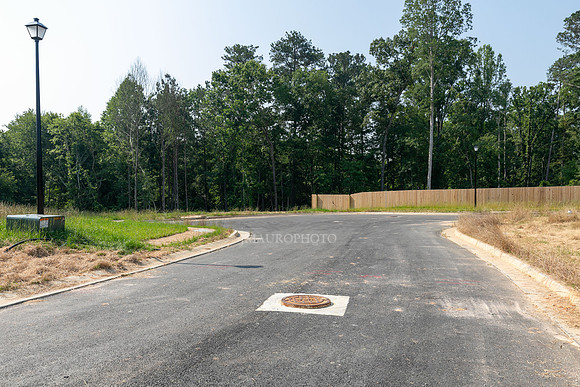 Carlton Crossing-19