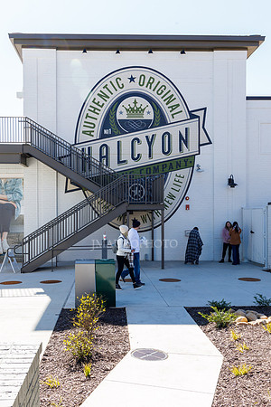 Halcyon-17