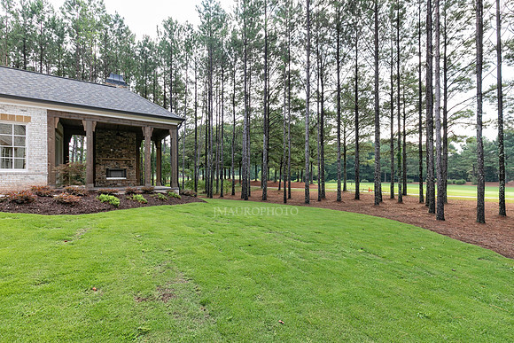 Back Yard-3