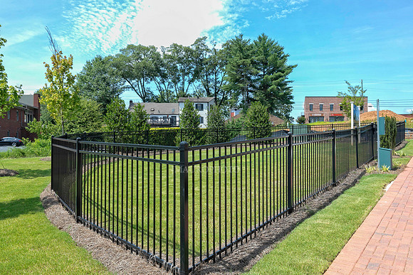 Dog Park-1
