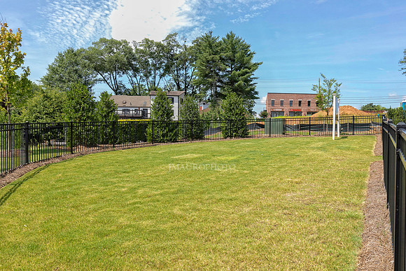 Dog Park-2