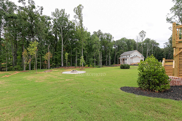 Back Yard-1