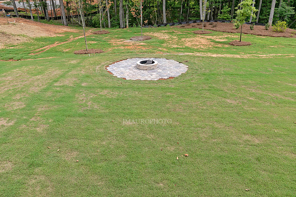 Back Yard-6