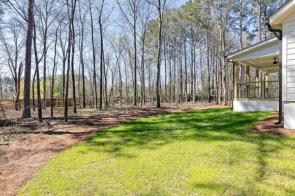 Back Yard-1