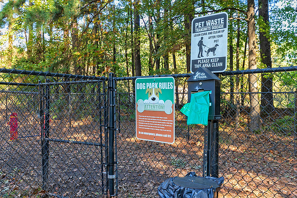 Dog Park-2
