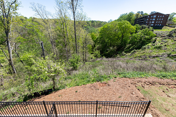 Back Yard-1