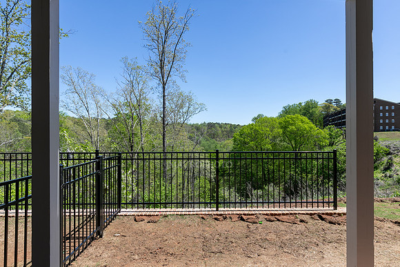 Back Yard-2
