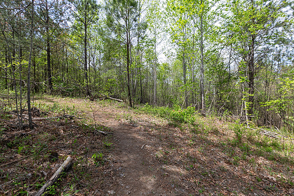Seven Hills-8