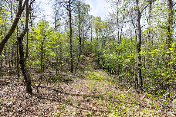 Seven Hills-12